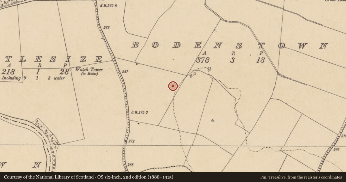 Ordnance Survey six-inch map, 2nd edition (1888–1915) covering the location of Ring-ditch, Bodenstown, County Kildare, with a pin at the register's coordinates