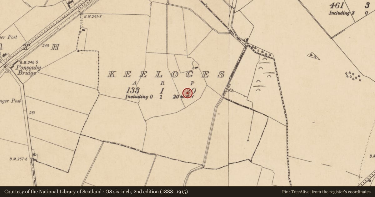 Ordnance Survey six-inch map, 2nd edition (1888–1915) covering the location of Enclosure - large enclosure, Keeloges, County Kildare, with a pin at the register's coordinates