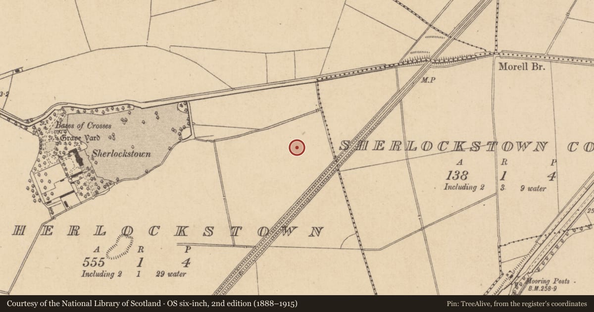 Ordnance Survey six-inch map, 2nd edition (1888–1915) covering the location of Designed landscape - tree-ring, Sherlockstown, County Kildare, with a pin at the register's coordinates