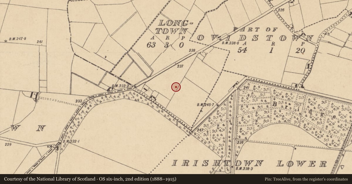 Ordnance Survey six-inch map, 2nd edition (1888–1915) covering the location of Ring-ditch, Longtown, County Kildare, with a pin at the register's coordinates