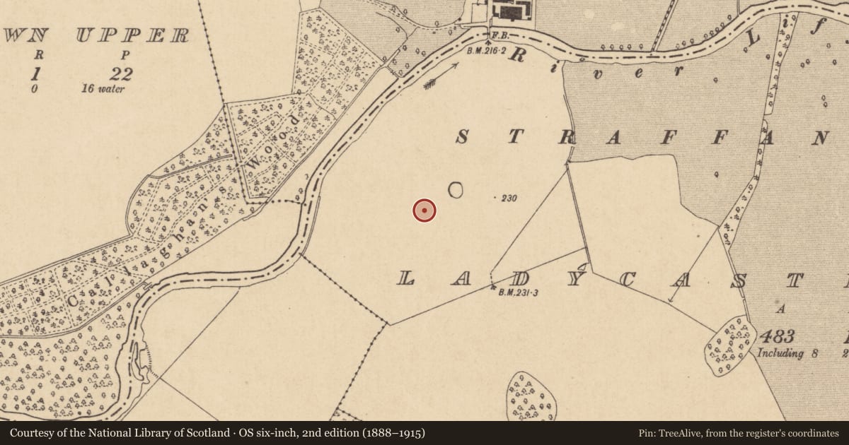 Ordnance Survey six-inch map, 2nd edition (1888–1915) covering the location of Enclosure, Ladycastle Lower, County Kildare, with a pin at the register's coordinates
