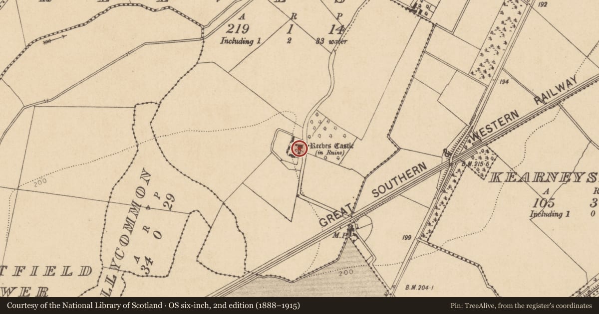 Ordnance Survey six-inch map, 2nd edition (1888–1915) covering the location of Castle - tower house, Reeves, County Kildare, with a pin at the register's coordinates