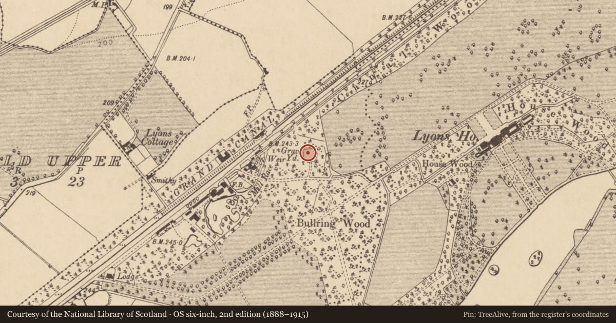 Ordnance Survey six-inch map, 2nd edition (1888–1915) covering the location of Graveyard, Clonaghlis, County Kildare, with a pin at the register's coordinates