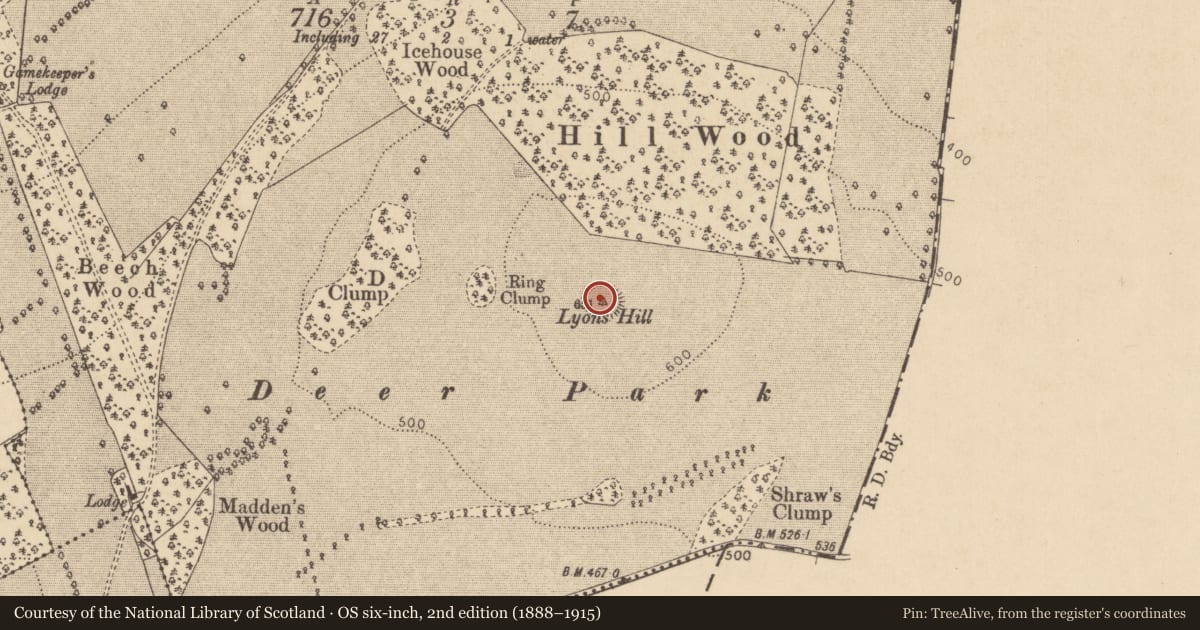 Ordnance Survey six-inch map, 2nd edition (1888–1915) covering the location of Inauguration site, Lyons, County Kildare, with a pin at the register's coordinates