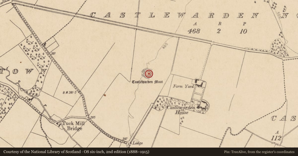 Ordnance Survey six-inch map, 2nd edition (1888–1915) covering the location of Castle - motte and bailey, Castlewarden North, County Kildare, with a pin at the register's coordinates