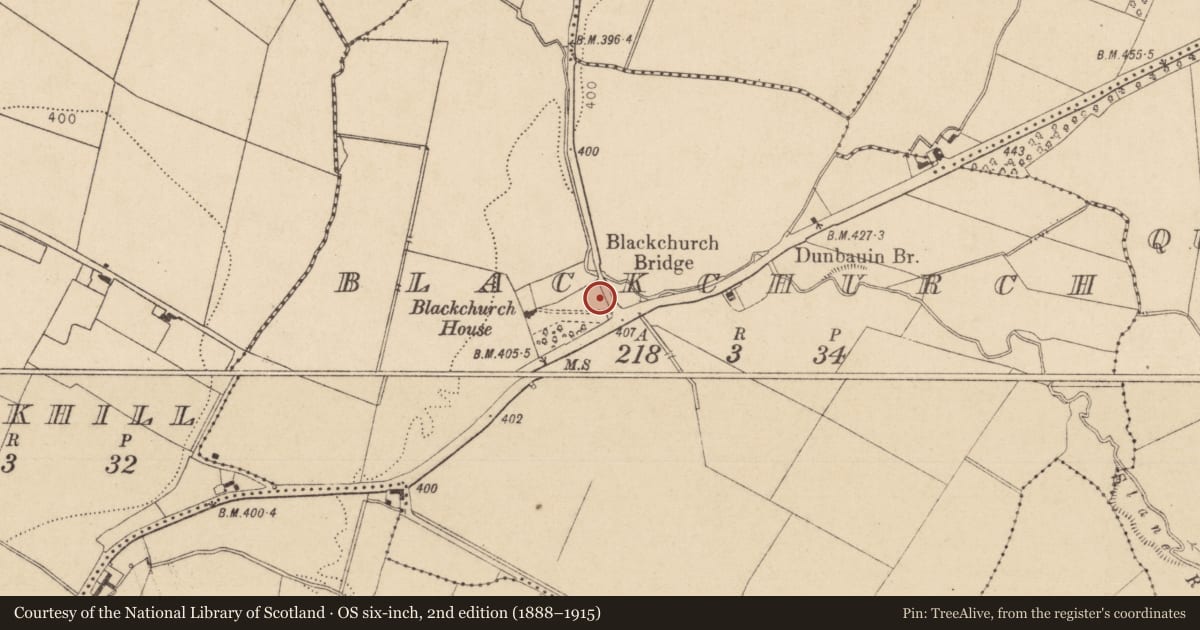 Ordnance Survey six-inch map, 2nd edition (1888–1915) covering the location of Habitation site, Blackchurch, County Kildare, with a pin at the register's coordinates