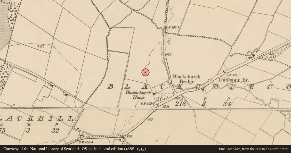 Ordnance Survey six-inch map, 2nd edition (1888–1915) covering the location of Habitation site, Blackchurch, County Kildare, with a pin at the register's coordinates