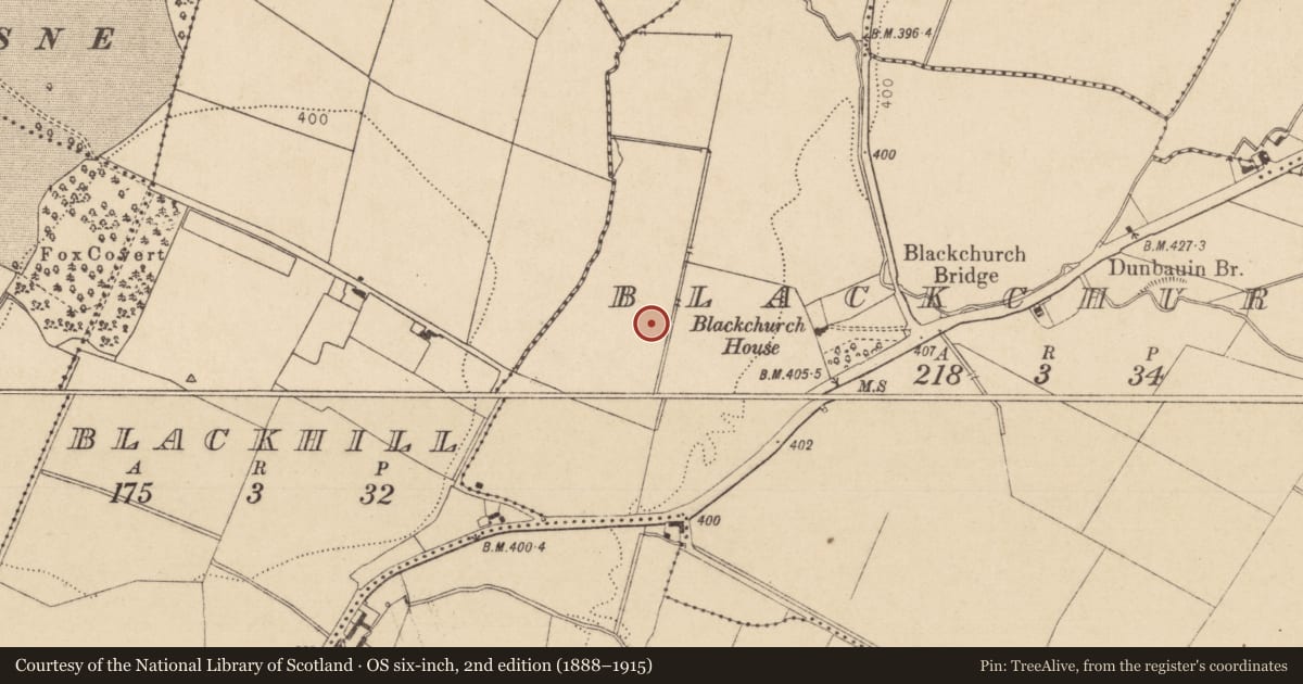 Ordnance Survey six-inch map, 2nd edition (1888–1915) covering the location of Enclosure, Blackchurch, County Kildare, with a pin at the register's coordinates