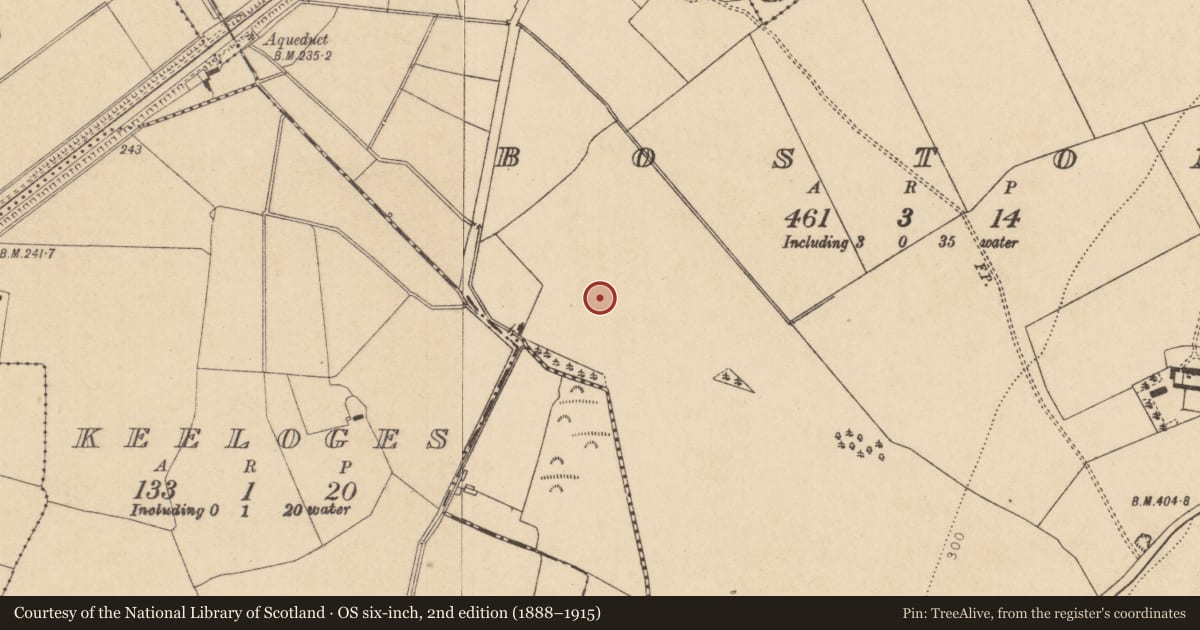 Ordnance Survey six-inch map, 2nd edition (1888–1915) covering the location of Enclosure, Boston, County Kildare, with a pin at the register's coordinates