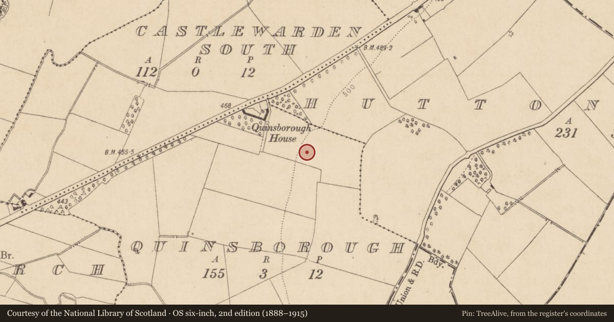 Ordnance Survey six-inch map, 2nd edition (1888–1915) covering the location of Moated site, Quinsborough, County Kildare, with a pin at the register's coordinates