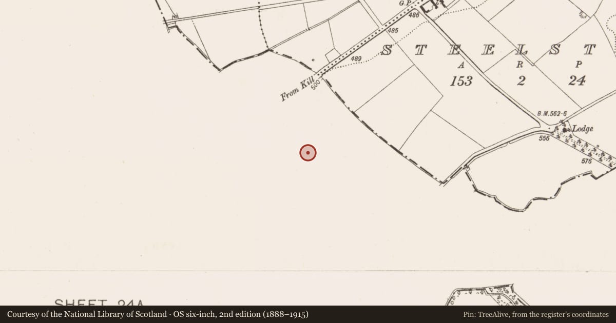Ordnance Survey six-inch map, 2nd edition (1888–1915) covering the location of Enclosure, Huttonread, County Kildare, with a pin at the register's coordinates