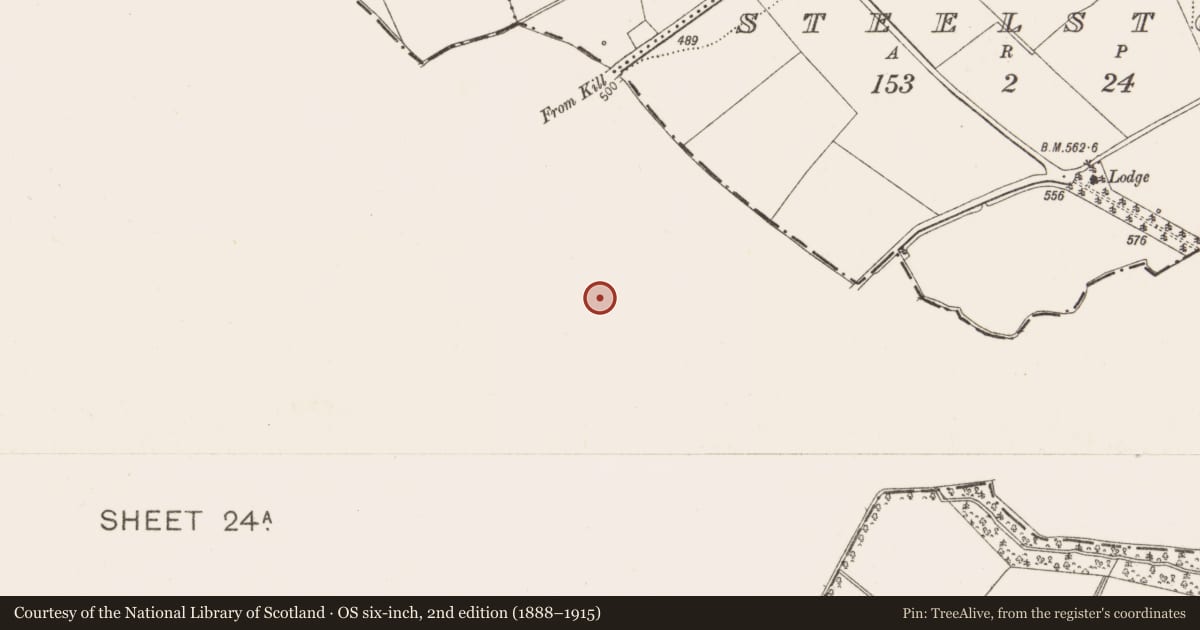 Ordnance Survey six-inch map, 2nd edition (1888–1915) covering the location of Enclosure, Huttonread, County Kildare, with a pin at the register's coordinates