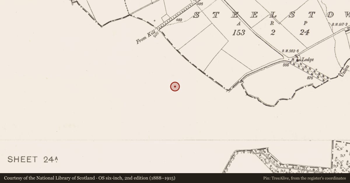 Ordnance Survey six-inch map, 2nd edition (1888–1915) covering the location of Enclosure, Huttonread, County Kildare, with a pin at the register's coordinates
