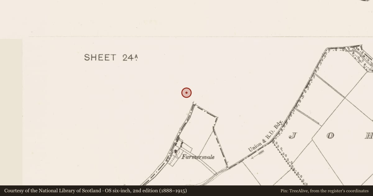 Ordnance Survey six-inch map, 2nd edition (1888–1915) covering the location of Enclosure, Huttonread, County Kildare, with a pin at the register's coordinates
