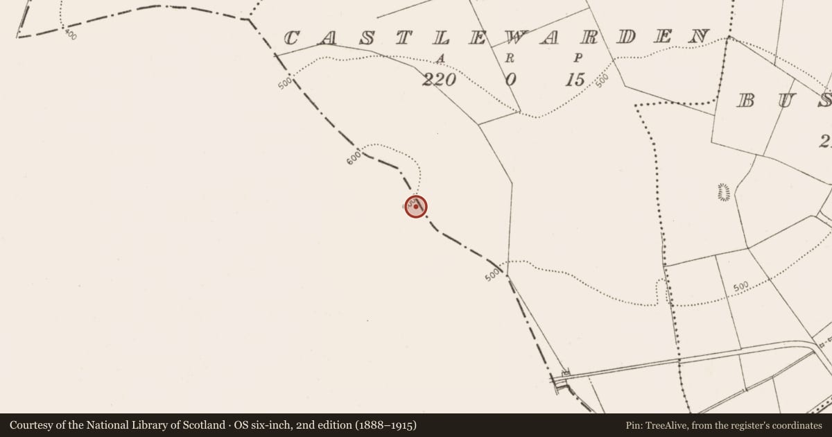 Ordnance Survey six-inch map, 2nd edition (1888–1915) covering the location of Barrow - ring-barrow, Castlewarden North, County Kildare, with a pin at the register's coordinates