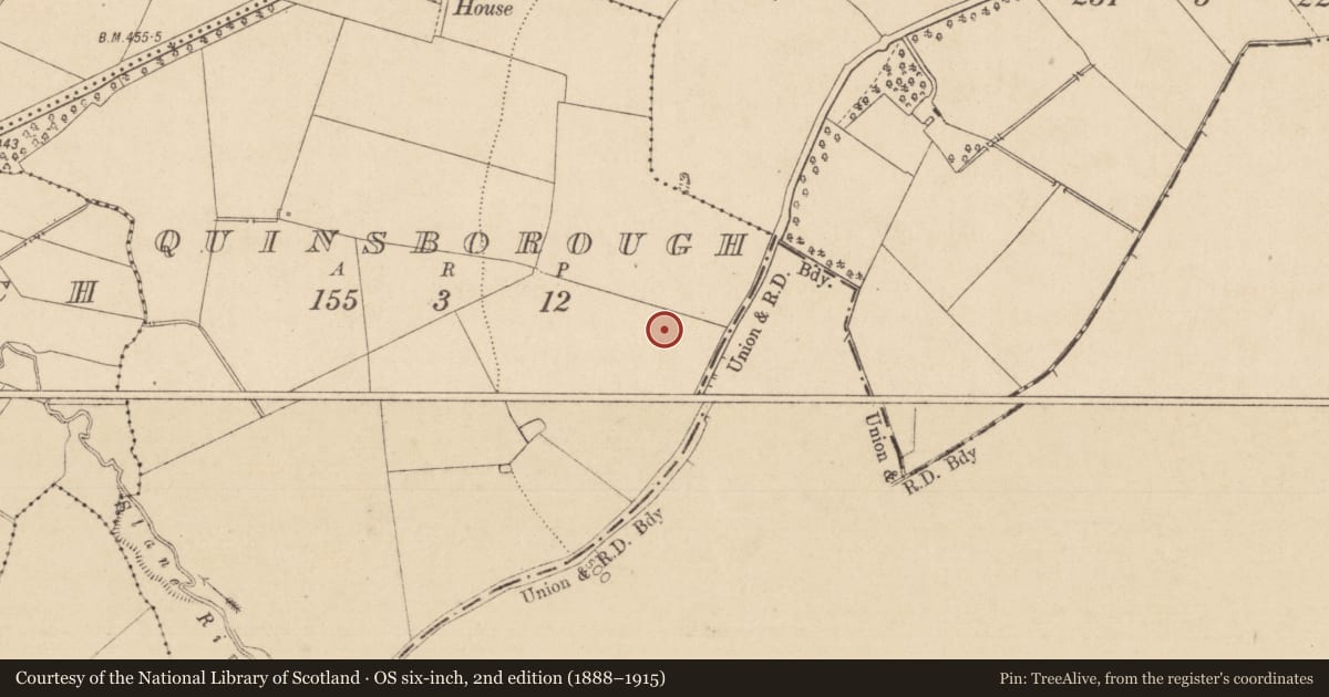 Ordnance Survey six-inch map, 2nd edition (1888–1915) covering the location of Ring-ditch, Quinsborough, County Kildare, with a pin at the register's coordinates