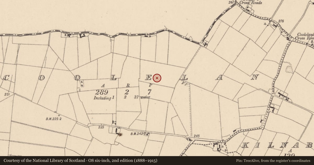 Ordnance Survey six-inch map, 2nd edition (1888–1915) covering the location of Enclosure, Coolelan, County Kildare, with a pin at the register's coordinates