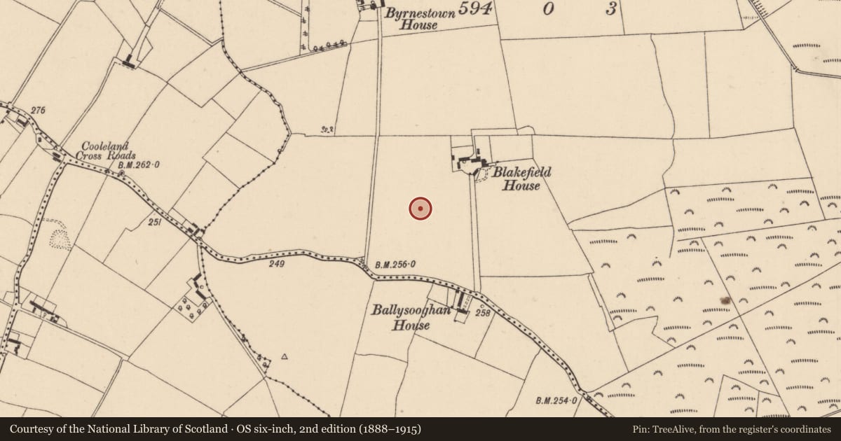 Ordnance Survey six-inch map, 2nd edition (1888–1915) covering the location of Enclosure, Ballysooghan North, County Kildare, with a pin at the register's coordinates