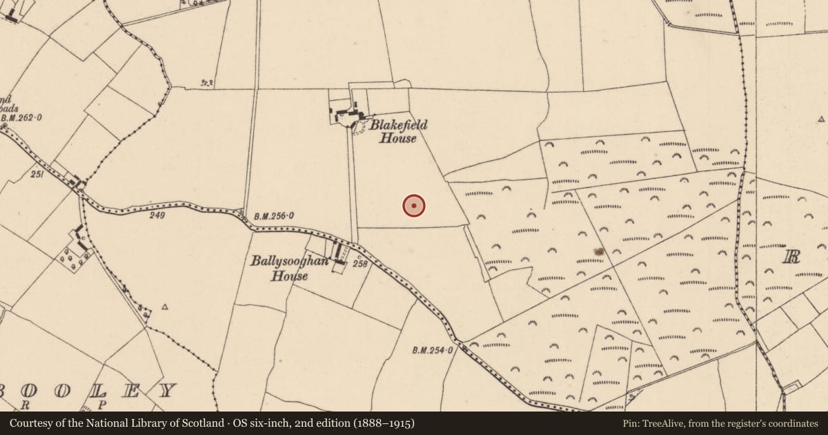 Ordnance Survey six-inch map, 2nd edition (1888–1915) covering the location of Mound, Ballysooghan North, County Kildare, with a pin at the register's coordinates