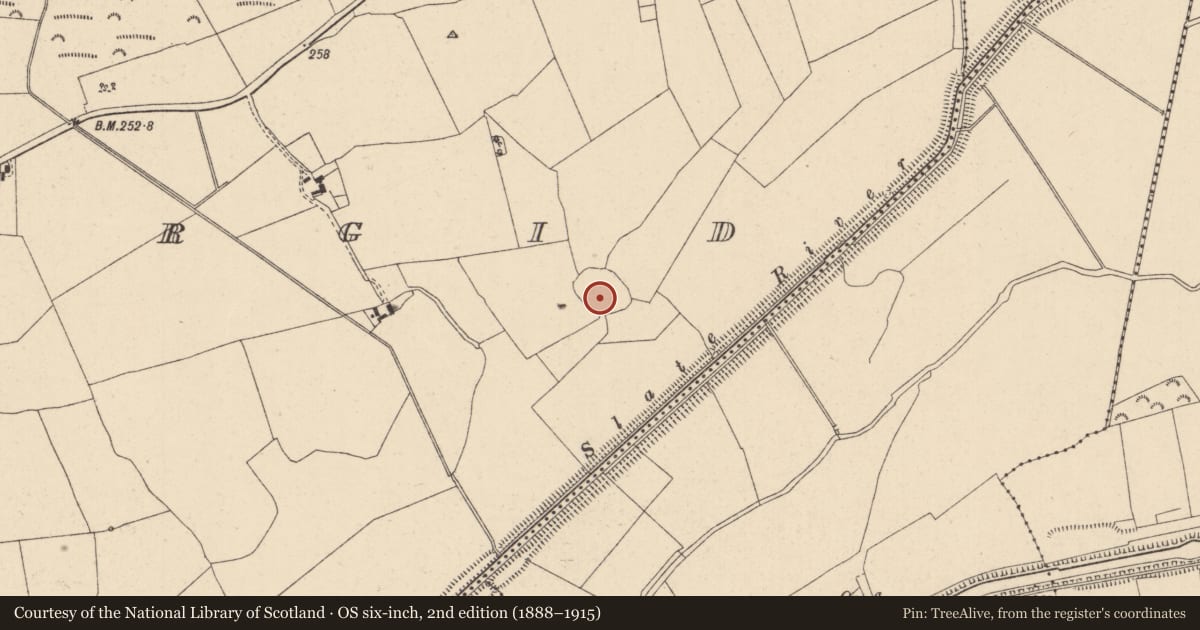 Ordnance Survey six-inch map, 2nd edition (1888–1915) covering the location of Ringfort - rath, Cappanargid, County Kildare, with a pin at the register's coordinates