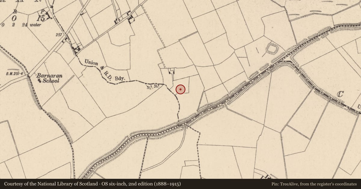 Ordnance Survey six-inch map, 2nd edition (1888–1915) covering the location of Ringfort - rath, Drumsru, County Kildare, with a pin at the register's coordinates