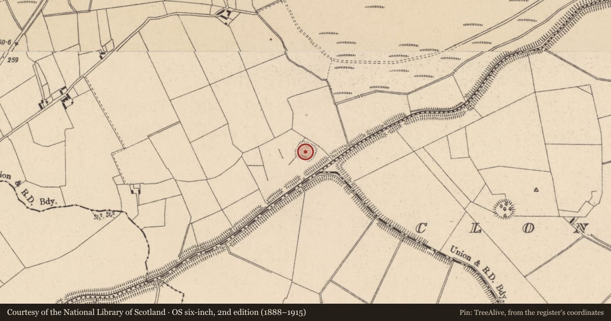 Ordnance Survey six-inch map, 2nd edition (1888–1915) covering the location of Moated site, Drumsru, County Kildare, with a pin at the register's coordinates