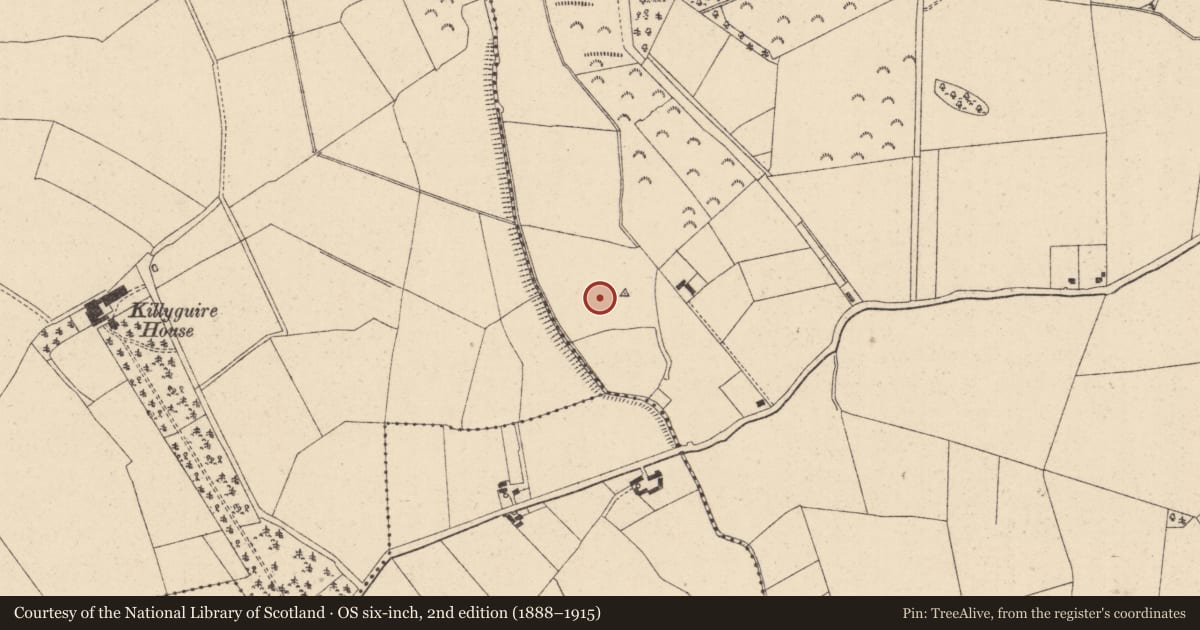 Ordnance Survey six-inch map, 2nd edition (1888–1915) covering the location of Ringfort - rath, Cappanargid, County Kildare, with a pin at the register's coordinates
