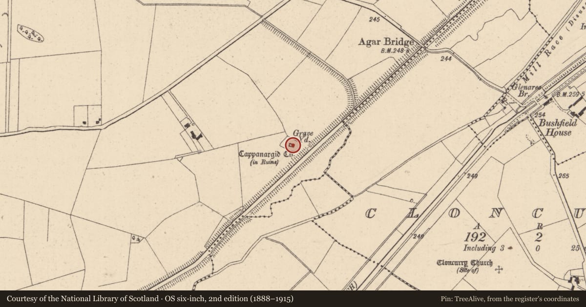 Ordnance Survey six-inch map, 2nd edition (1888–1915) covering the location of Church, Cappanargid, County Kildare, with a pin at the register's coordinates