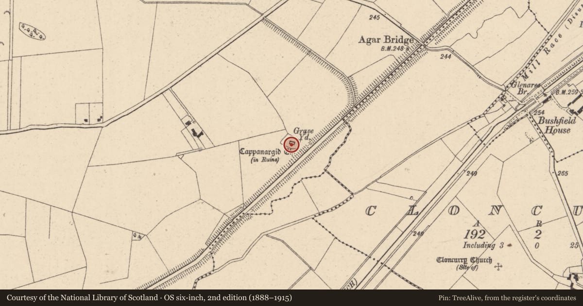 Ordnance Survey six-inch map, 2nd edition (1888–1915) covering the location of Graveyard, Cappanargid, County Kildare, with a pin at the register's coordinates