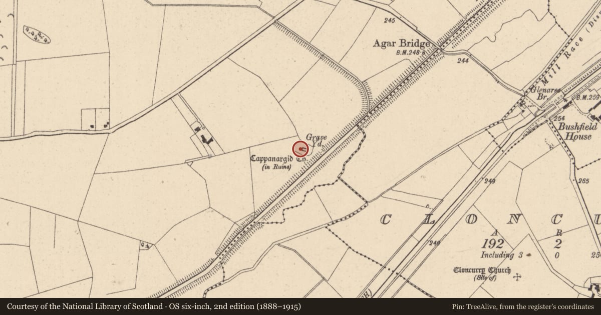 Ordnance Survey six-inch map, 2nd edition (1888–1915) covering the location of Ecclesiastical enclosure, Cappanargid, County Kildare, with a pin at the register's coordinates