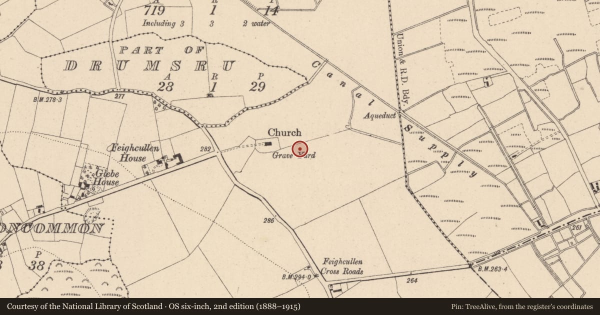 Ordnance Survey six-inch map, 2nd edition (1888–1915) covering the location of Field system, Feighcullen, County Kildare, with a pin at the register's coordinates