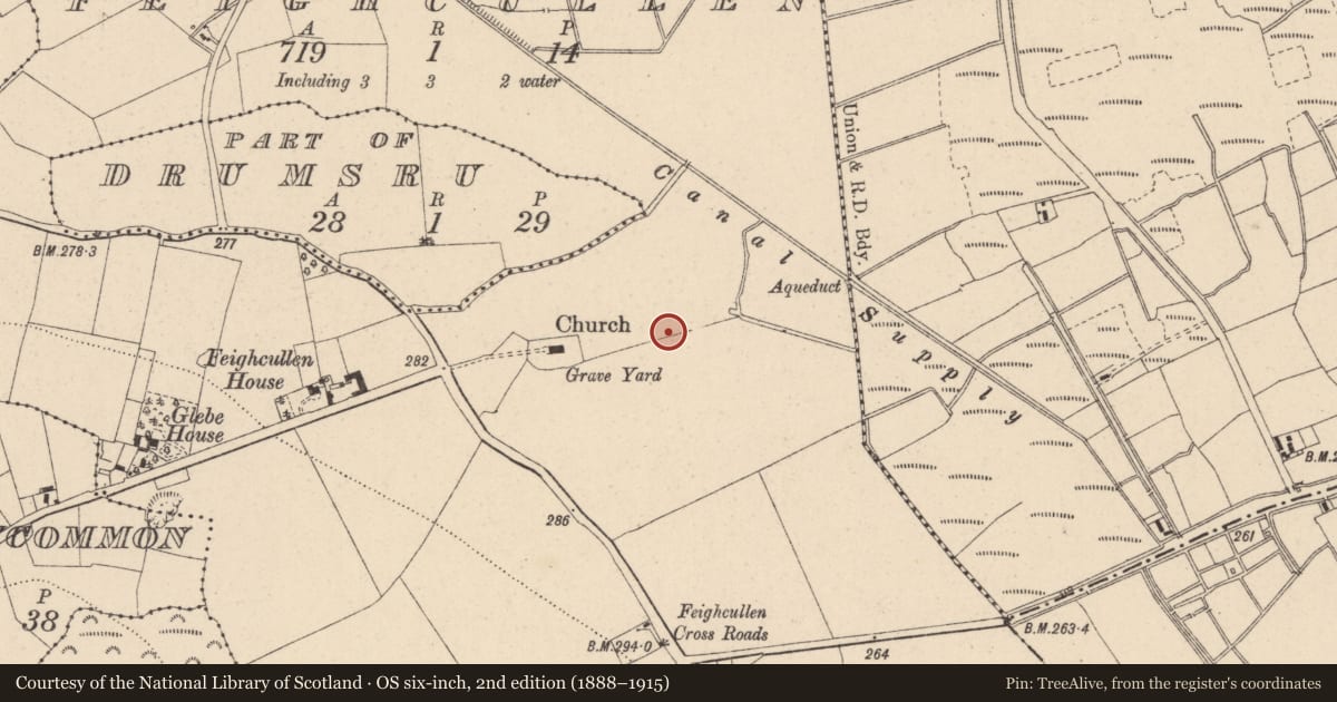 Ordnance Survey six-inch map, 2nd edition (1888–1915) covering the location of Ecclesiastical enclosure, Feighcullen, County Kildare, with a pin at the register's coordinates