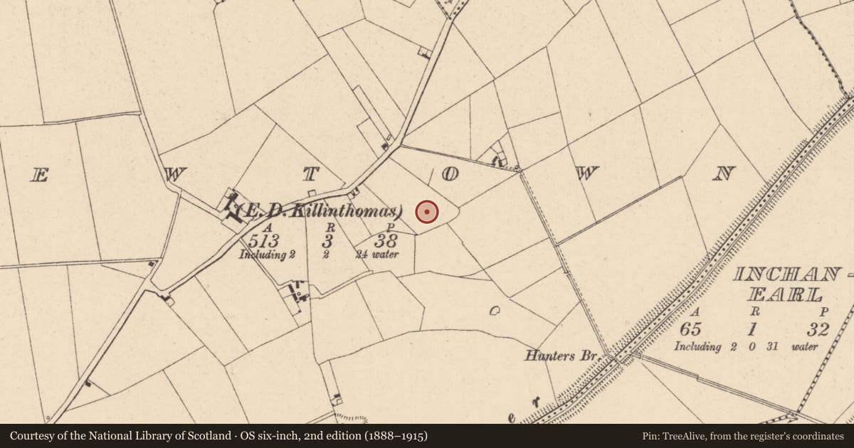 Ordnance Survey six-inch map, 2nd edition (1888–1915) covering the location of Ringfort - rath, Newtown, County Kildare, with a pin at the register's coordinates