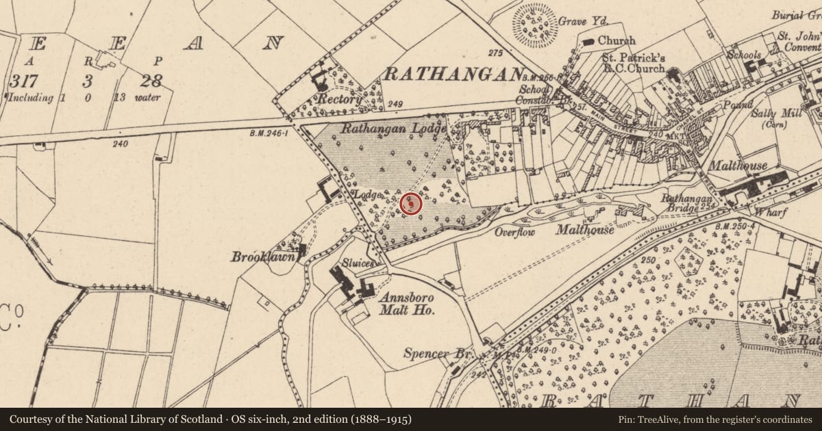 Ordnance Survey six-inch map, 2nd edition (1888–1915) covering the location of Castle - tower house, Rathangan, County Kildare, with a pin at the register's coordinates