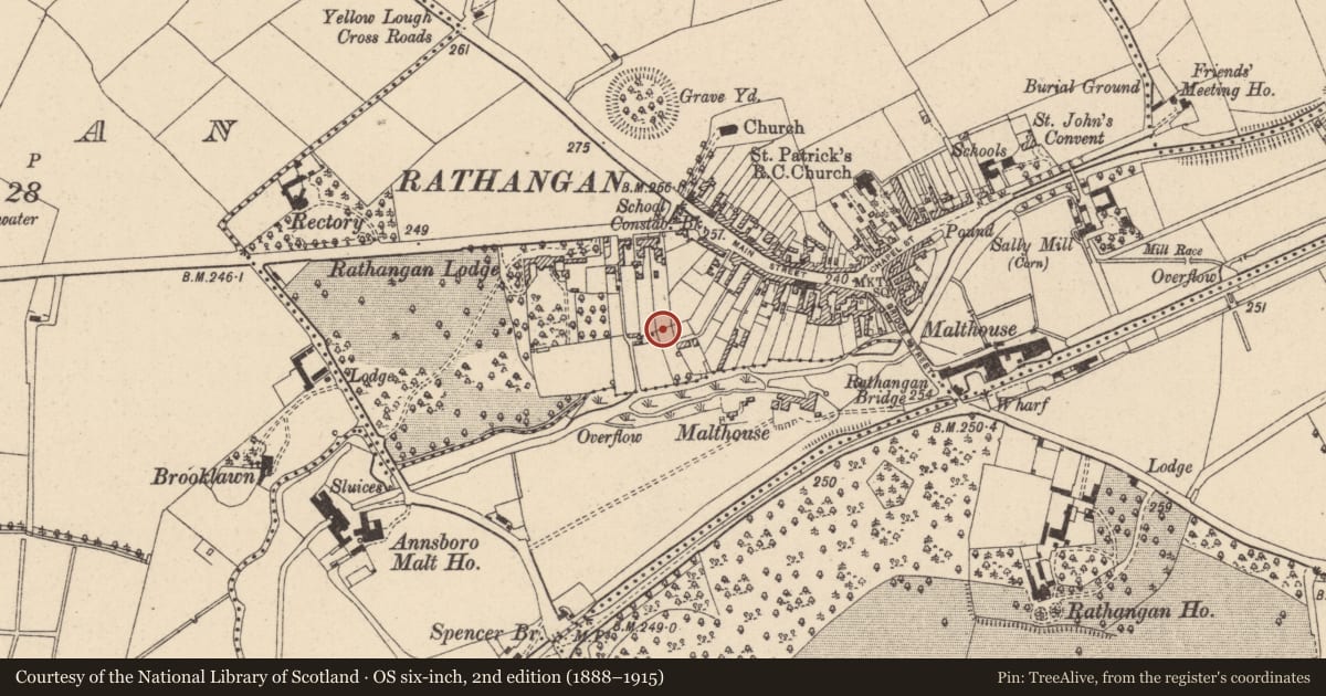 Ordnance Survey six-inch map, 2nd edition (1888–1915) covering the location of Designed landscape feature, Rathangan, County Kildare, with a pin at the register's coordinates
