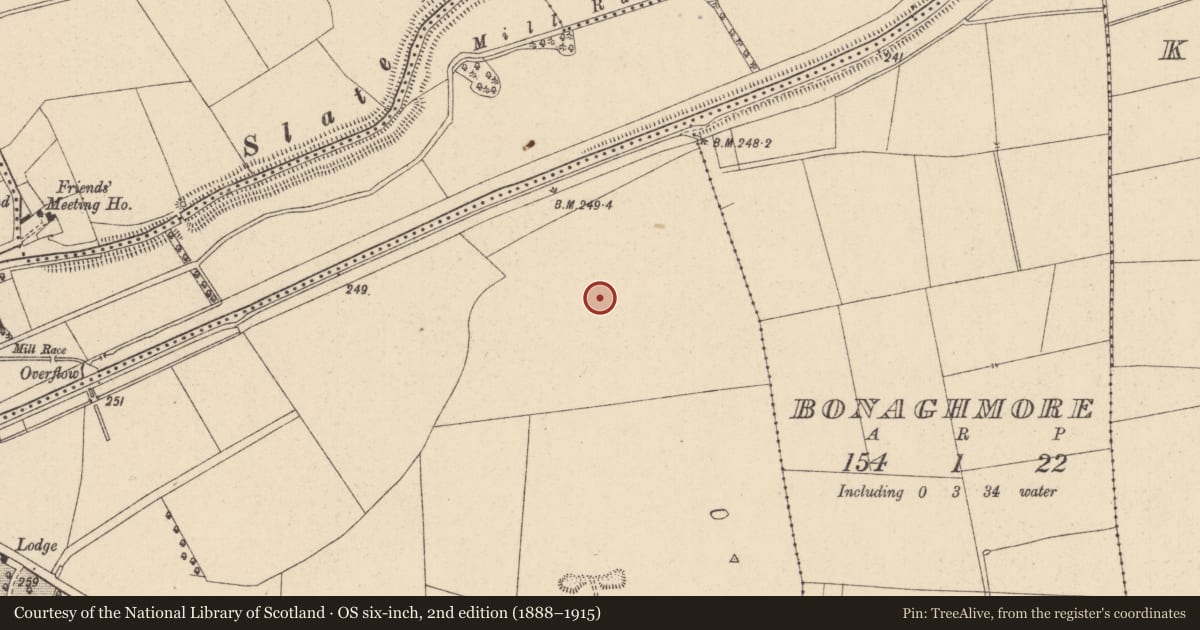 Ordnance Survey six-inch map, 2nd edition (1888–1915) covering the location of Ritual site - holy well, Rathangan Demesne, County Kildare, with a pin at the register's coordinates