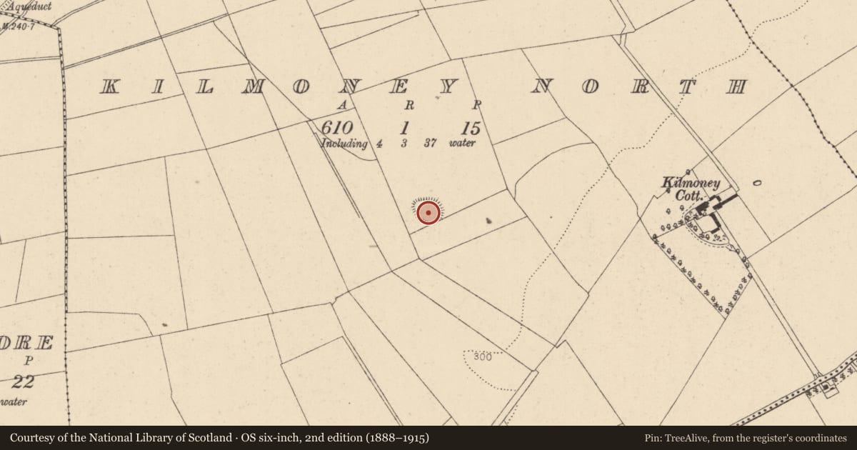 Ordnance Survey six-inch map, 2nd edition (1888–1915) covering the location of Ringfort - rath, Kilmoney North, County Kildare, with a pin at the register's coordinates