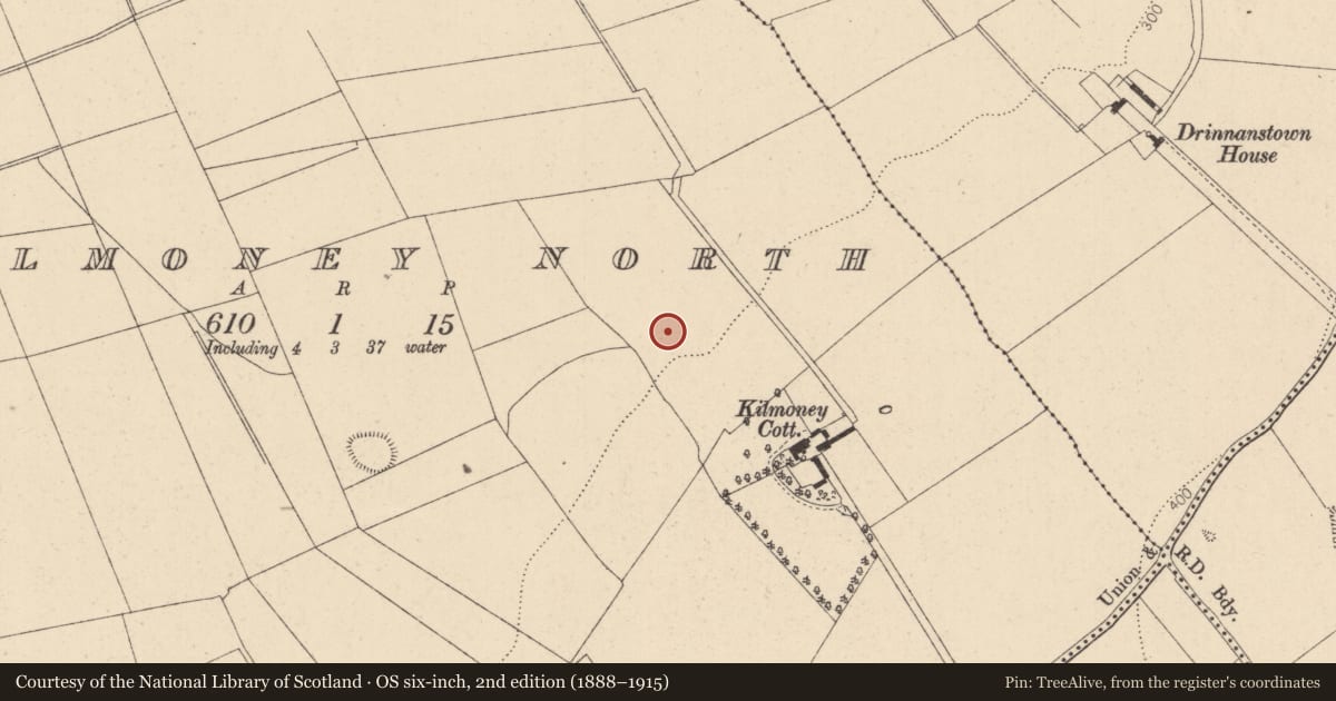 Ordnance Survey six-inch map, 2nd edition (1888–1915) covering the location of Field system, Kilmoney North, County Kildare, with a pin at the register's coordinates