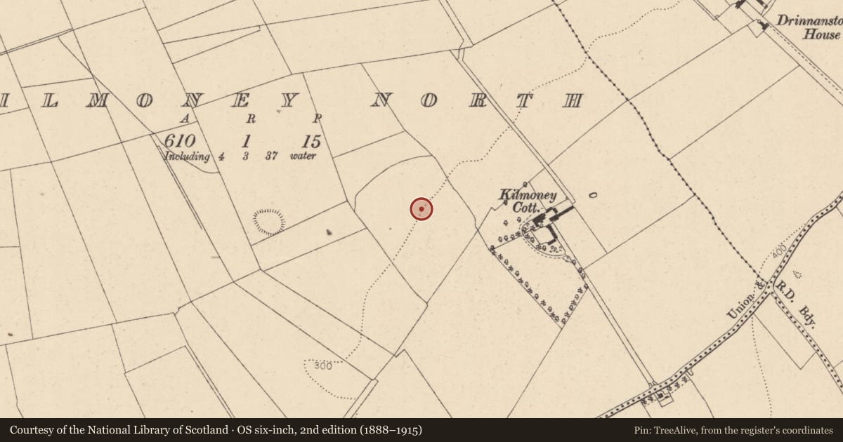 Ordnance Survey six-inch map, 2nd edition (1888–1915) covering the location of Ecclesiastical enclosure, Kilmoney North, County Kildare, with a pin at the register's coordinates