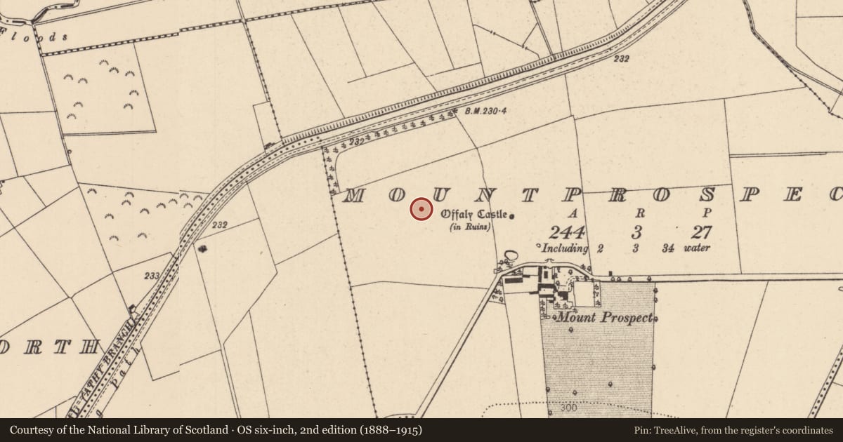 Ordnance Survey six-inch map, 2nd edition (1888–1915) covering the location of Field system, Mountprospect, County Kildare, with a pin at the register's coordinates