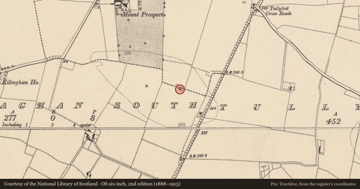 Ordnance Survey six-inch map, 2nd edition (1888–1915) covering the location of Burial ground, Kiltaghan South, Mountprospect, County Kildare, with a pin at the register's coordinates