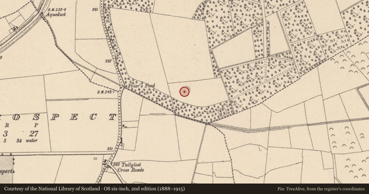 Ordnance Survey six-inch map, 2nd edition (1888–1915) covering the location of Ringfort - rath, Rathangan Demesne, County Kildare, with a pin at the register's coordinates