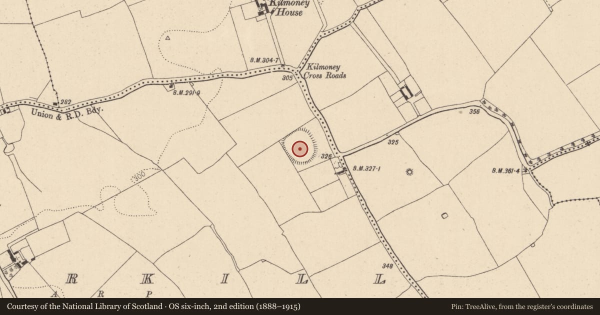 Ordnance Survey six-inch map, 2nd edition (1888–1915) covering the location of Ringfort - rath, Boherkill, County Kildare, with a pin at the register's coordinates