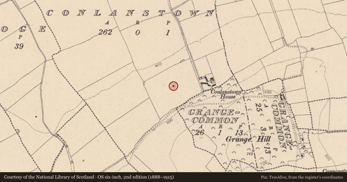 Ordnance Survey six-inch map, 2nd edition (1888–1915) covering the location of Settlement deserted - medieval, Conlanstown, County Kildare, with a pin at the register's coordinates