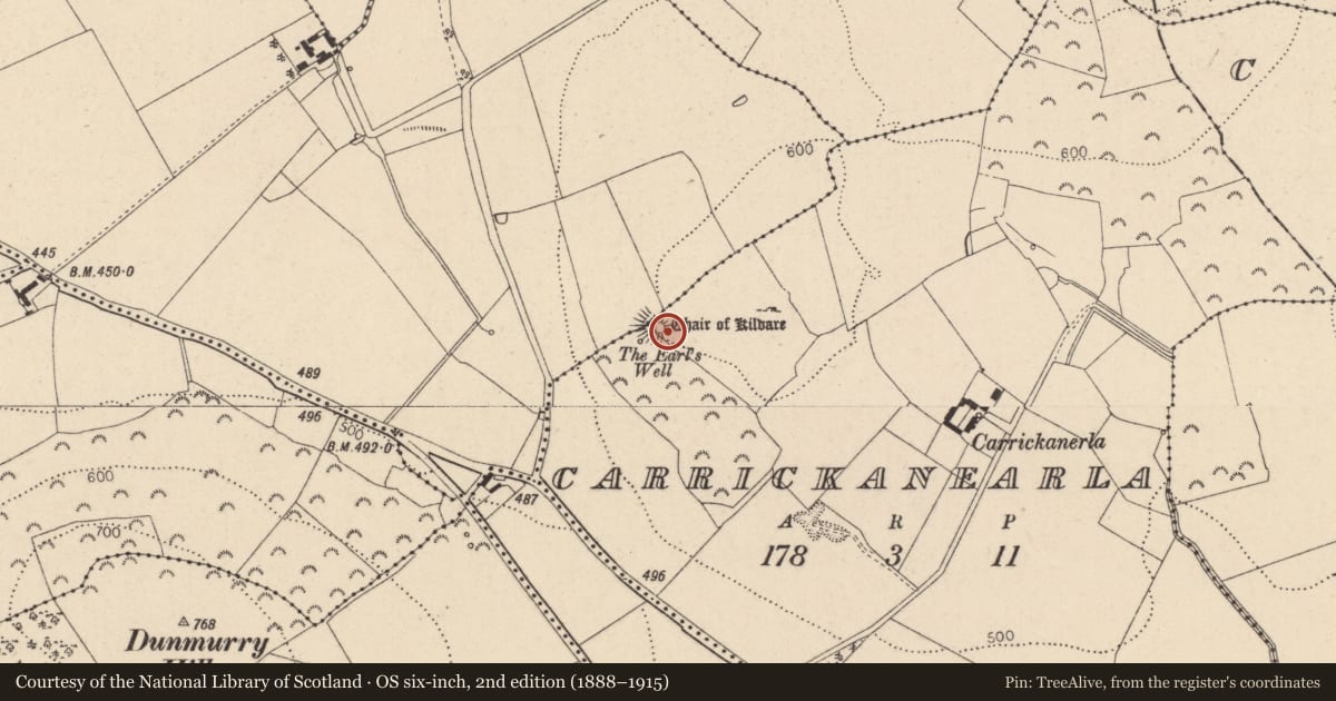 Ordnance Survey six-inch map, 2nd edition (1888–1915) covering the location of Mound, Carrickanearla, Kilmoney South, County Kildare, with a pin at the register's coordinates