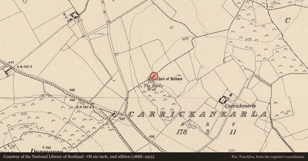 Ordnance Survey six-inch map, 2nd edition (1888–1915) covering the location of Architectural fragment, Carrickanearla, County Kildare, with a pin at the register's coordinates