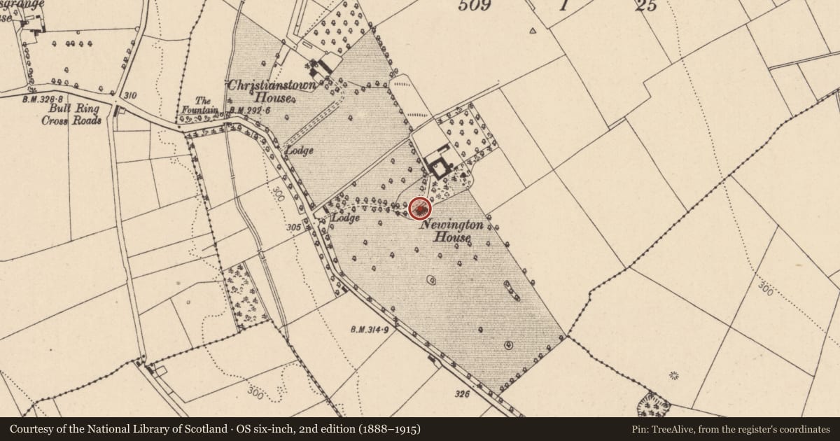 Ordnance Survey six-inch map, 2nd edition (1888–1915) covering the location of Cross, Christianstown, County Kildare, with a pin at the register's coordinates