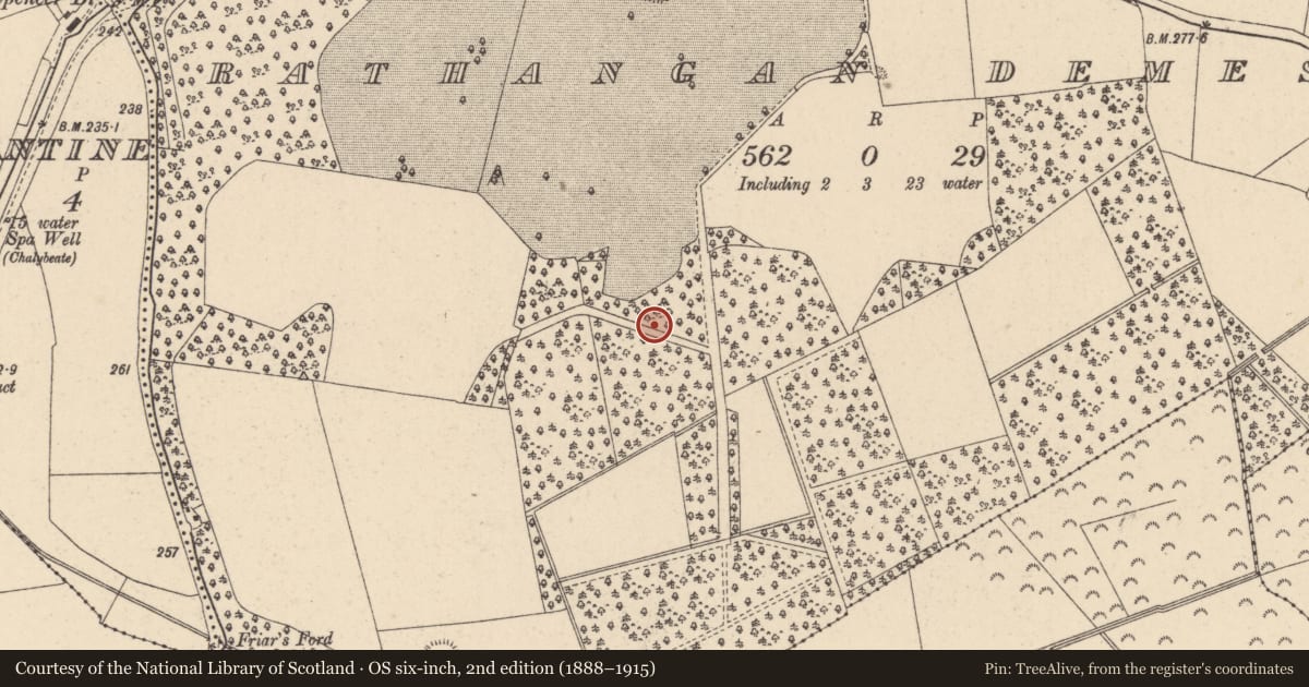 Ordnance Survey six-inch map, 2nd edition (1888–1915) covering the location of Ringfort - rath, Rathangan Demesne, County Kildare, with a pin at the register's coordinates