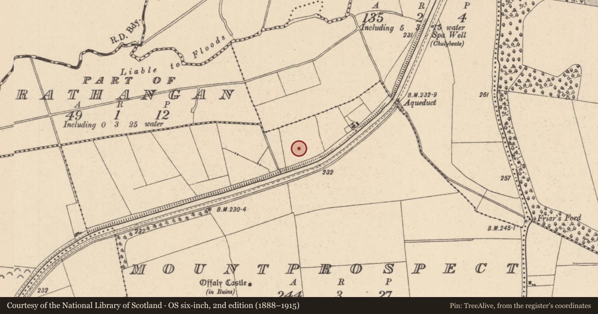 Ordnance Survey six-inch map, 2nd edition (1888–1915) covering the location of Fulacht fia, Mountprospect, County Kildare, with a pin at the register's coordinates