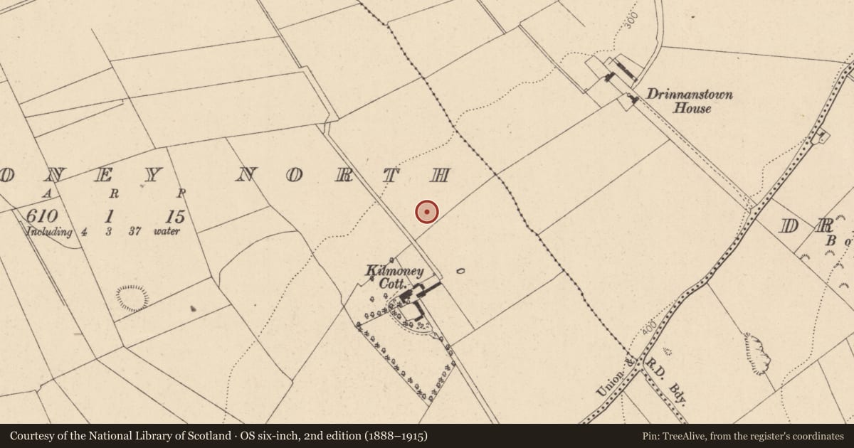 Ordnance Survey six-inch map, 2nd edition (1888–1915) covering the location of Ringfort - rath, Kilmoney North, County Kildare, with a pin at the register's coordinates